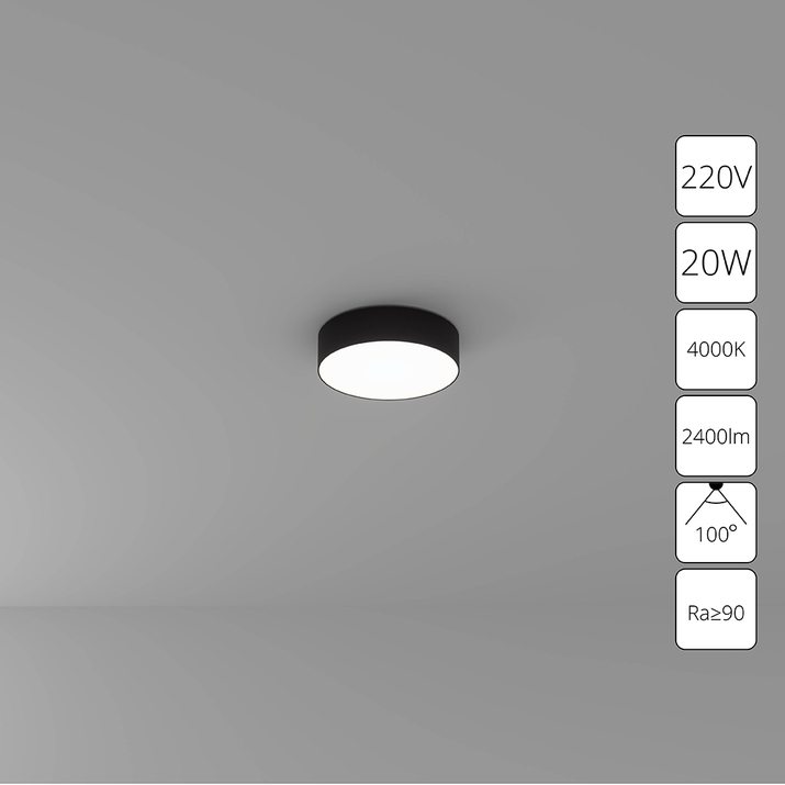 Потолочный светильник ARTE LAMP FADO A6620PL-1BK