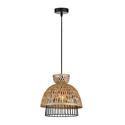 Подвесной светильник ARTE LAMP WOODSTOCK A7070SP-1BK