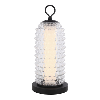 Лампа настольная ST LUCE SAGUARO / САГУАРО SL6144.404.01