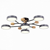 Люстра на штанге EVOLUCE FAEMA / ФАЕМА SLE6006-702-06