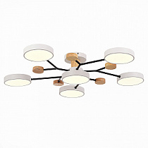 Люстра на штанге EVOLUCE FAEMA / ФАЕМА SLE6006-502-06